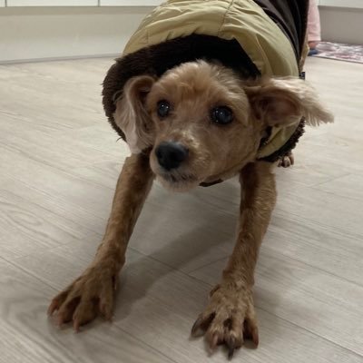 omega3600mg's profile picture. 