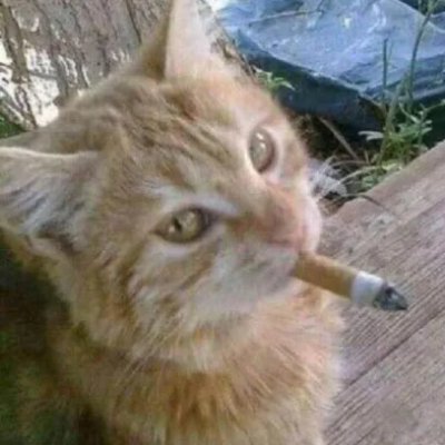 luckyclipsonly's profile picture. 👉relatable page (must f0llow)👈