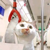 thetimes (@thetimes2) 's Twitter Profile
