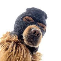 JG_96_'s profile picture. 