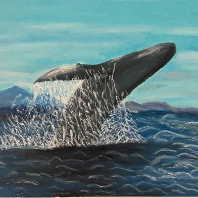 sandapandabunda's profile picture. Learn & Grow / Follow → instant follow back(blue checkmark) / No DMs