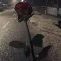 Zap (@zap1881937) 's Twitter Profile