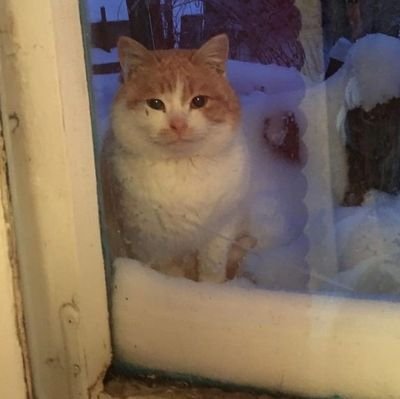 EuneunDodo's profile picture. 