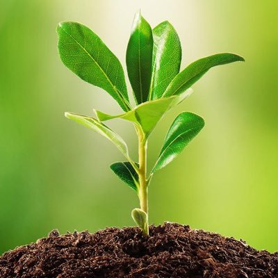dhanaminvest's profile picture. Investing, Speculating, Learning