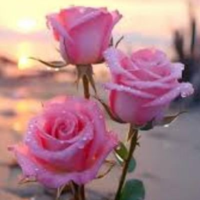 hekmah1798's profile picture. أحببت هذا الإسم
ومثلتني حروفه
لمست .ح. في حب ديني و وطني
و .ك. في كاريزمتي المتميزة
و .م. في المعرفة والثقافة
والتمس .ة. في توفيق ربي وأن يرزقني الحكمة🤲🏵️