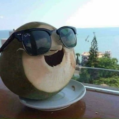 HoaNguyen482797's profile picture. 