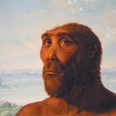 elsandaletor's profile picture. licencié d’histoire et heureusement soldat