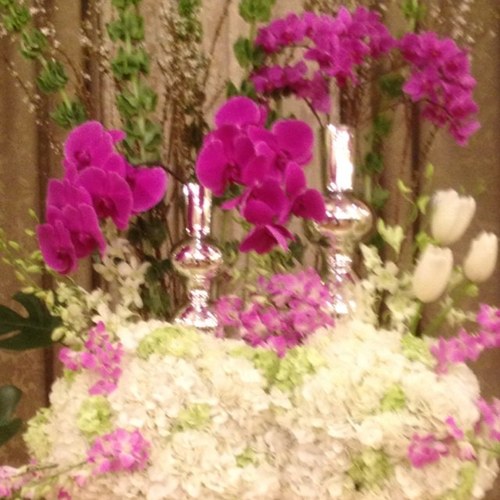 ElisTweets's profile picture. I love to make happy ppl ...!! lets roll .