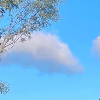 NOTKHGD's profile picture. dsch