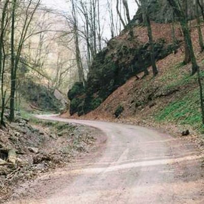 ElwynStroc92902's profile picture. 