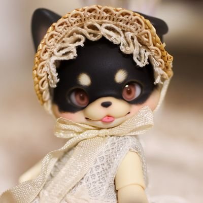 an.さんのプロフィール画像