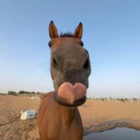 zhangshuo (@zhangshuo212153) 's Twitter Profile