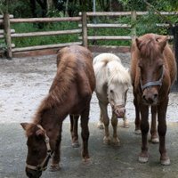 フランス(🏳) (@ns_co4) Twitter profile photo