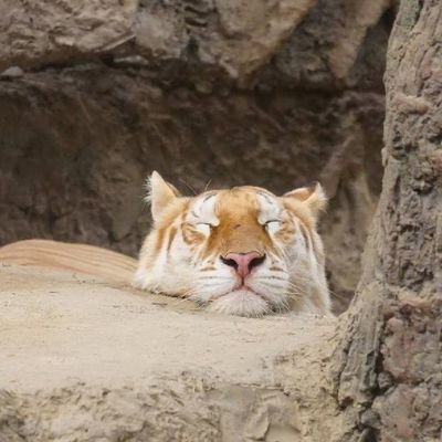 tempetanpatahu's profile picture. .