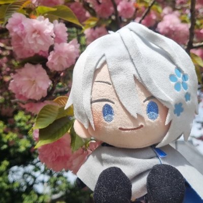 カオスﾁｬﾝさんのプロフィール画像