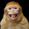 agneya2001's profile picture. Extraterrestrial from Earth, just moved to Uranus.