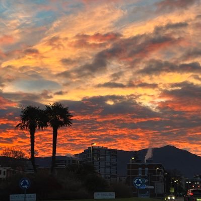 SilviaCopy's profile picture. copy writer digital art creator