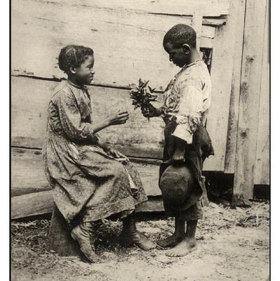 AlexNice037's profile picture. 🇨🇲