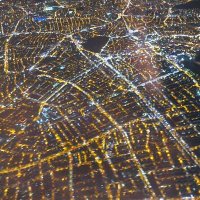 Paczek Bird (@birdpaczek) 's Twitter Profile Photo