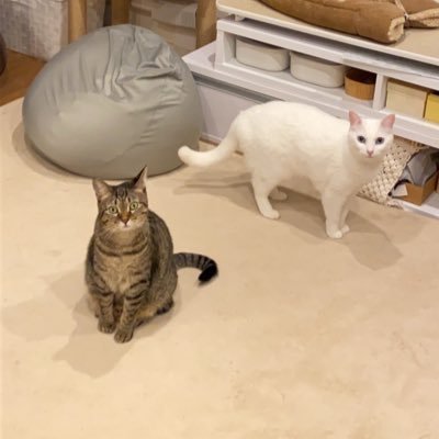 水希さんのプロフィール画像