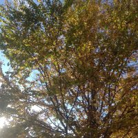 ペック (@bsentzloop35437) 's Twitter Profile