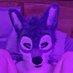 Kiba AD (@kiba_afterdark) Twitter profile photo Kiba AD (@kiba_afterdark) Twitter profile photo