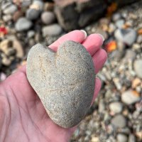 GrammaSandi (@sandraw97171) 's Twitter Profile