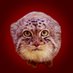 Poroulettemanul (@rapeatthecasino) Twitter profile photo Poroulettemanul (@rapeatthecasino) Twitter profile photo