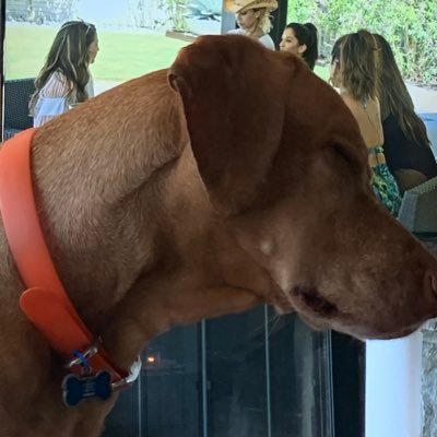 Oohhsophie's profile picture. Your mom’s favourite esthetician | Reality tv connoisseur | bikini waxer