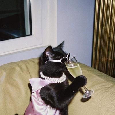 Part Time Reviewer / Lifestyle / Food Hopping / Cat Person / Art & Craft / Mindfulness
