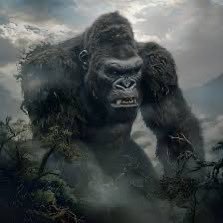 Vimal1029535's profile picture. Very soft and kind