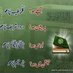 #Irfan Rasheed (@irfanrashe58485) Twitter profile photo