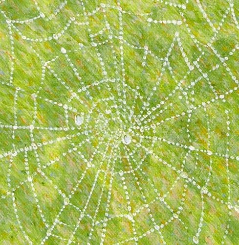 SparkWithin's profile picture. Online Community for Eclectic Wiccans