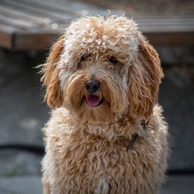 sjehutch's profile picture. Human