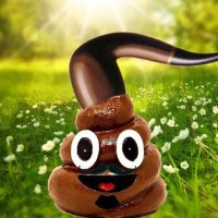 Ceci n’est pas une merde (@noneunaccount) 's Twitter Profile Photo Ceci n’est pas une merde (@noneunaccount) 's Twitter Profile Photo