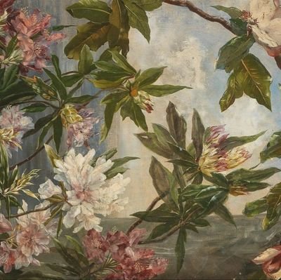 girldondothat's profile picture. 