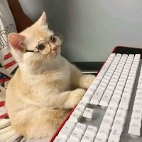 alzaa stan²⁵akuntansi²⁵ (@widrys30513) 's Twitter Profile