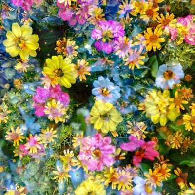 Wx73MztxuvLXD3M's profile picture. 
