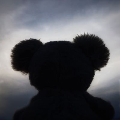 TiaanVanRhyn16's profile picture. 