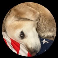 MnVikes4Life (@mneverydayfun) 's Twitter Profile