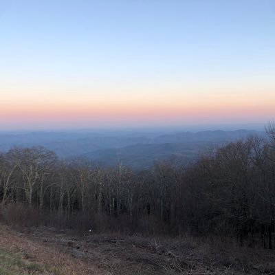 sarahrehm_'s profile picture. unc