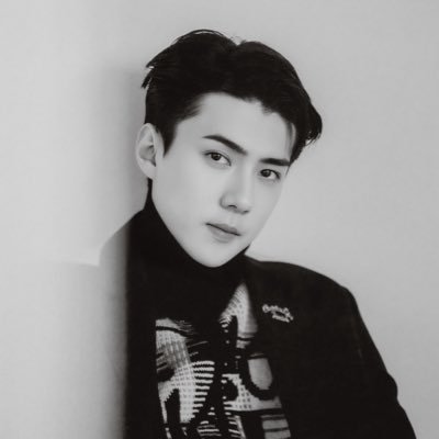 sehun's profile picture. a glimpse of poised allure, wrapped in quiet sophistication.