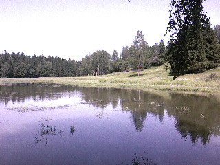 osshka's profile picture. 