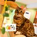 ねこカフェなる (@nekocafenaru) Twitter profile photo