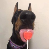 liana (@yeonjungongju) 's Twitter Profile
