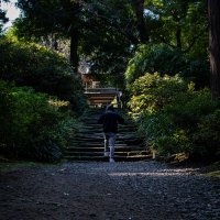 DaIkI (@daiki__0216) 's Twitter Profile