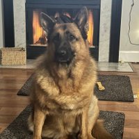 PatriotMom🇺🇸☦️✝️ (@hilliard52012) 's Twitter Profile