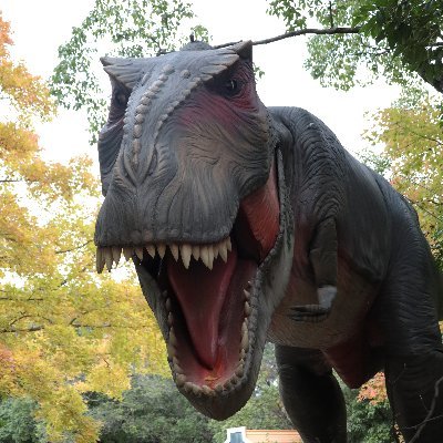 いいね垢
物捨てられない病治療中。
ヘルニア発症中(痛い)。
コザ勢になりつつR。
🔰カメラ🔰
コスプレイヤー様てぇてぇ!
📸(@camera_urasoe3)
無言フォローすみません。
クソリプすみません。
いいなと思ったら、いいねしますいません。