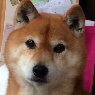 peaske7's profile picture.