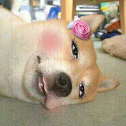 advenusminerva's profile picture. TV조선 마케팅전략팀 판권유통, 마케팅담당 / 난 끊임없이 도전하고 일을 즐기는 내가 좋다...그리고 사람을 사랑하며 그들과 늘 함께 웃고 엉키는게 행복하다 ^^